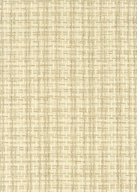 Paperweave 6688