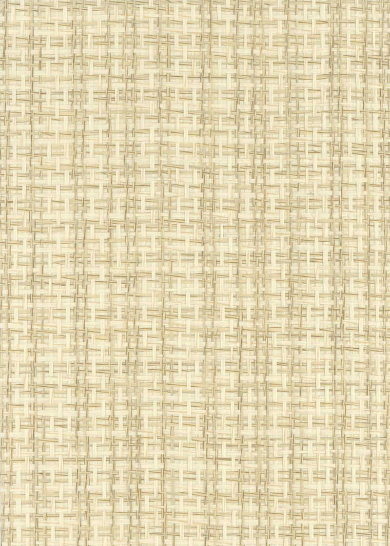 Paperweave 6688 natural wallcovering swatch