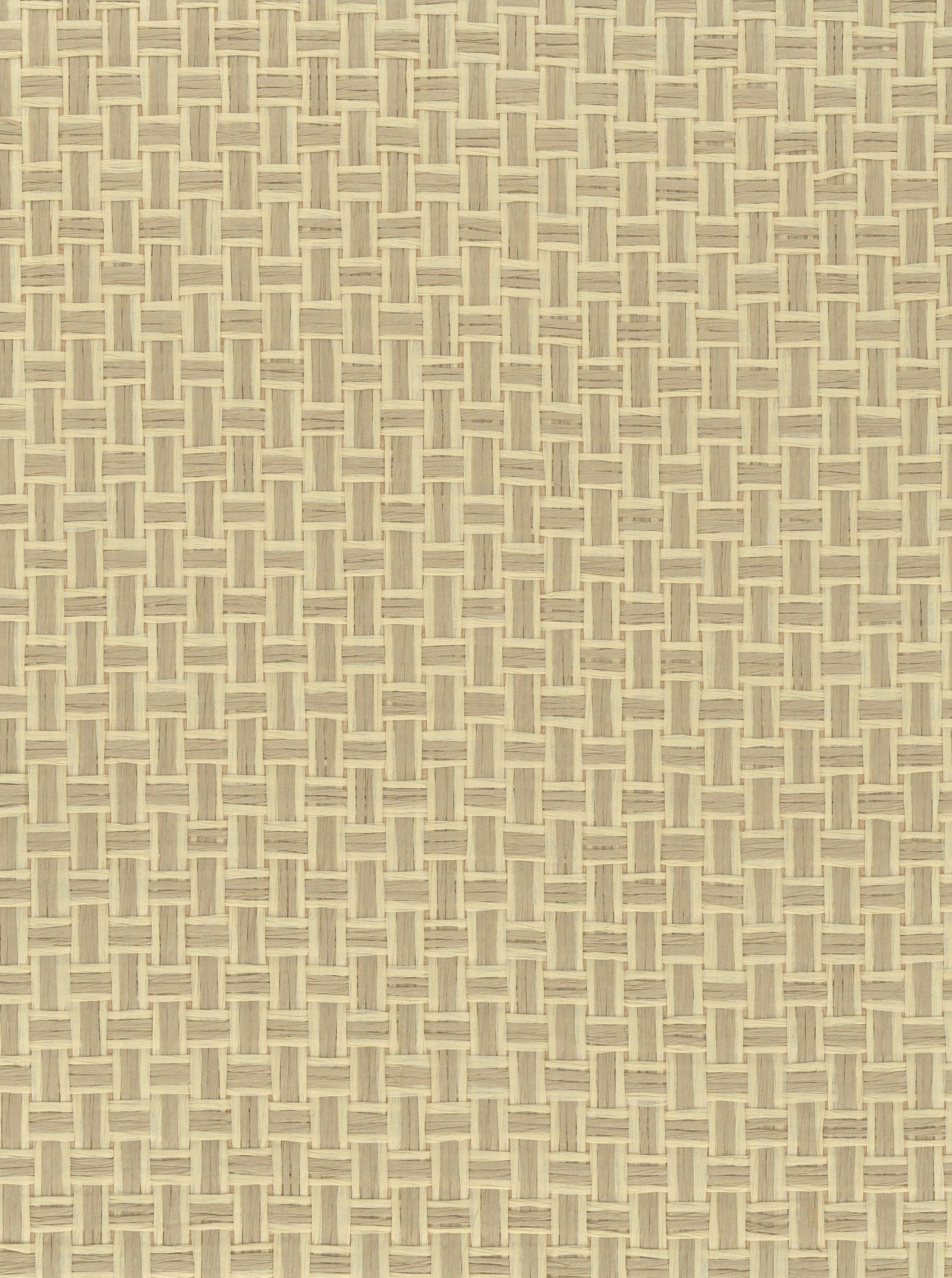 Paperweave 6695 Reed natural wallcovering swatch