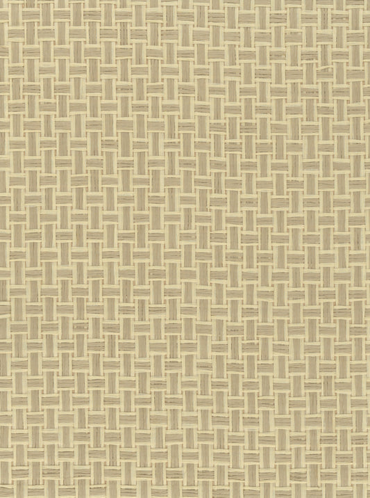 Paperweave 6695 Reed natural wallcovering swatch