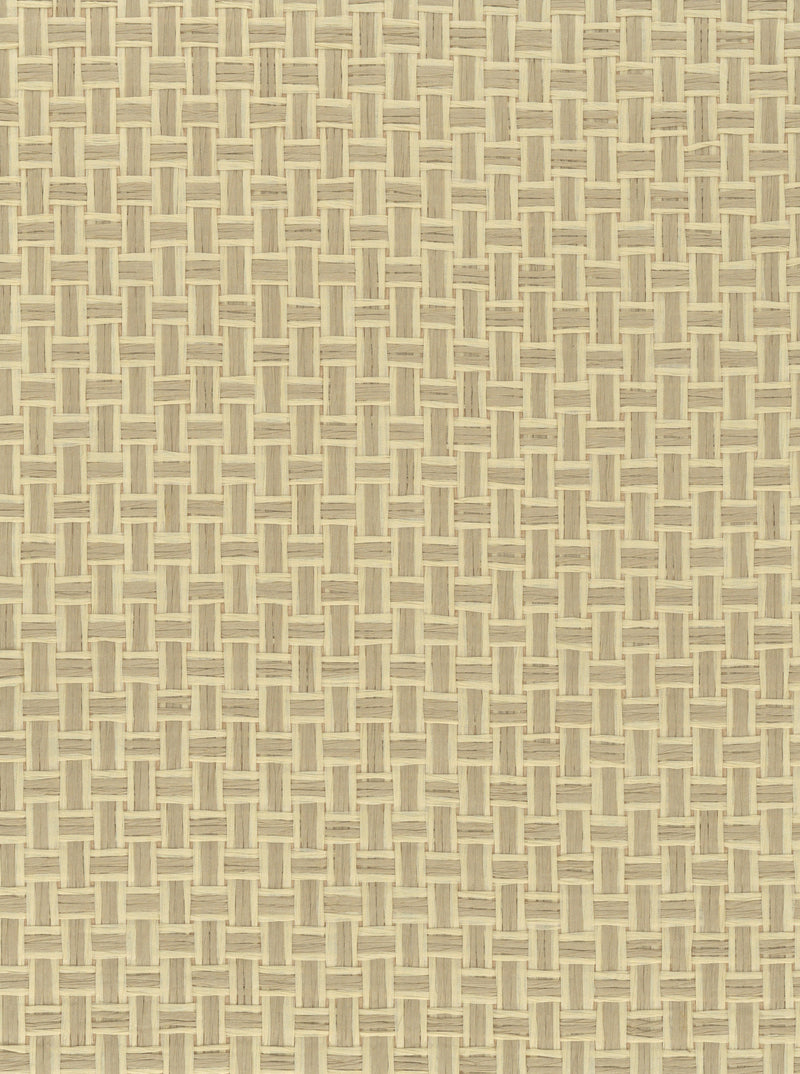 Paperweave 6695 Reed natural wallcovering swatch