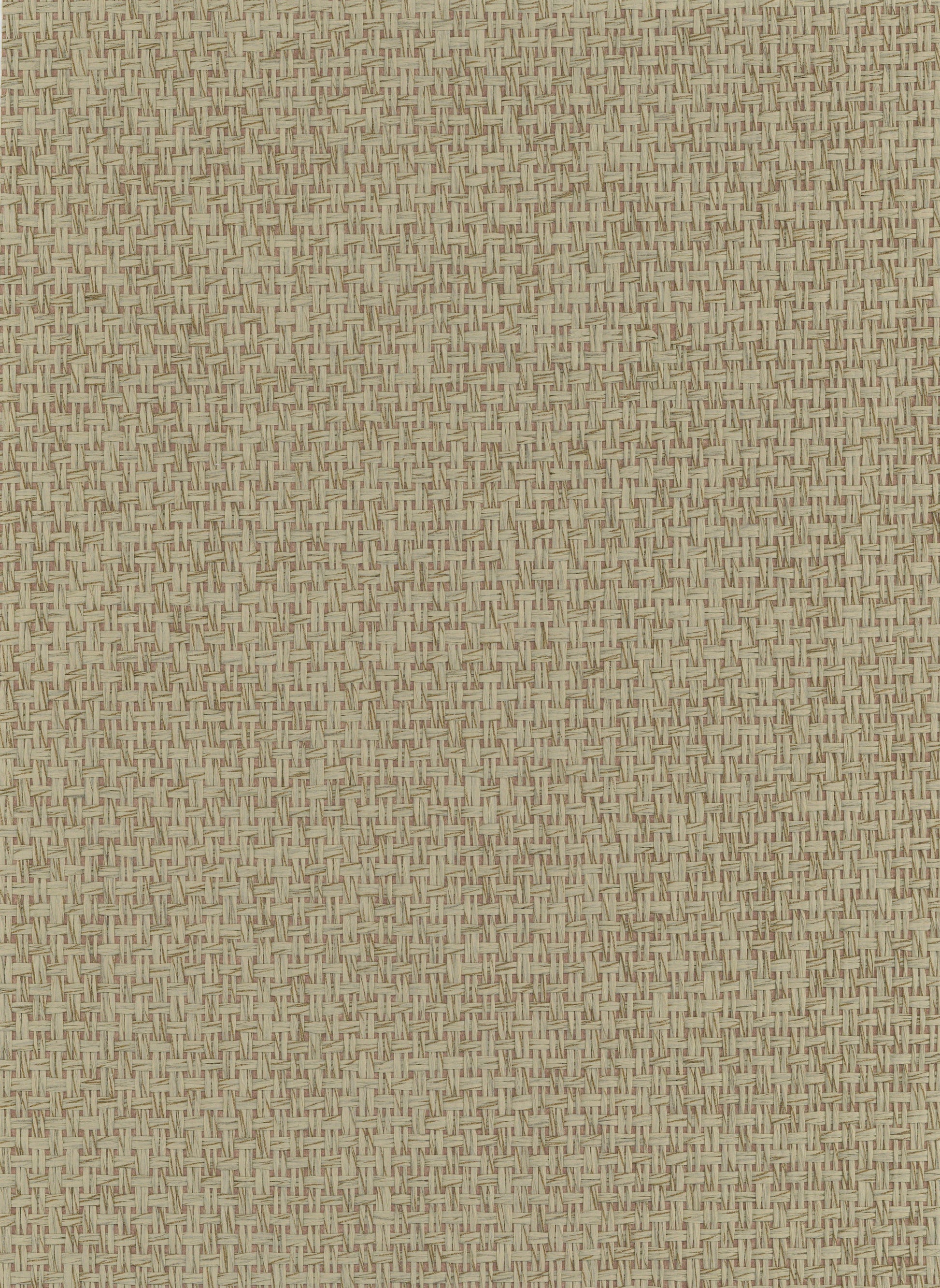 Paperweave 6716 Pale Khaki natural wallcovering swatch
