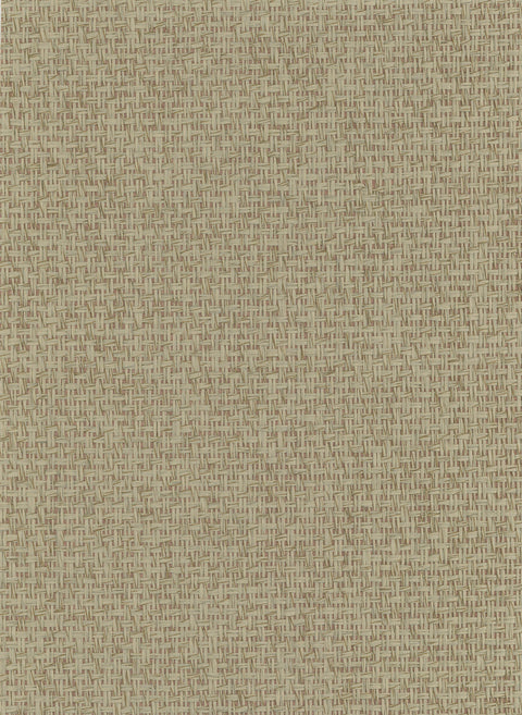 Paperweave 6716 Pale Khaki