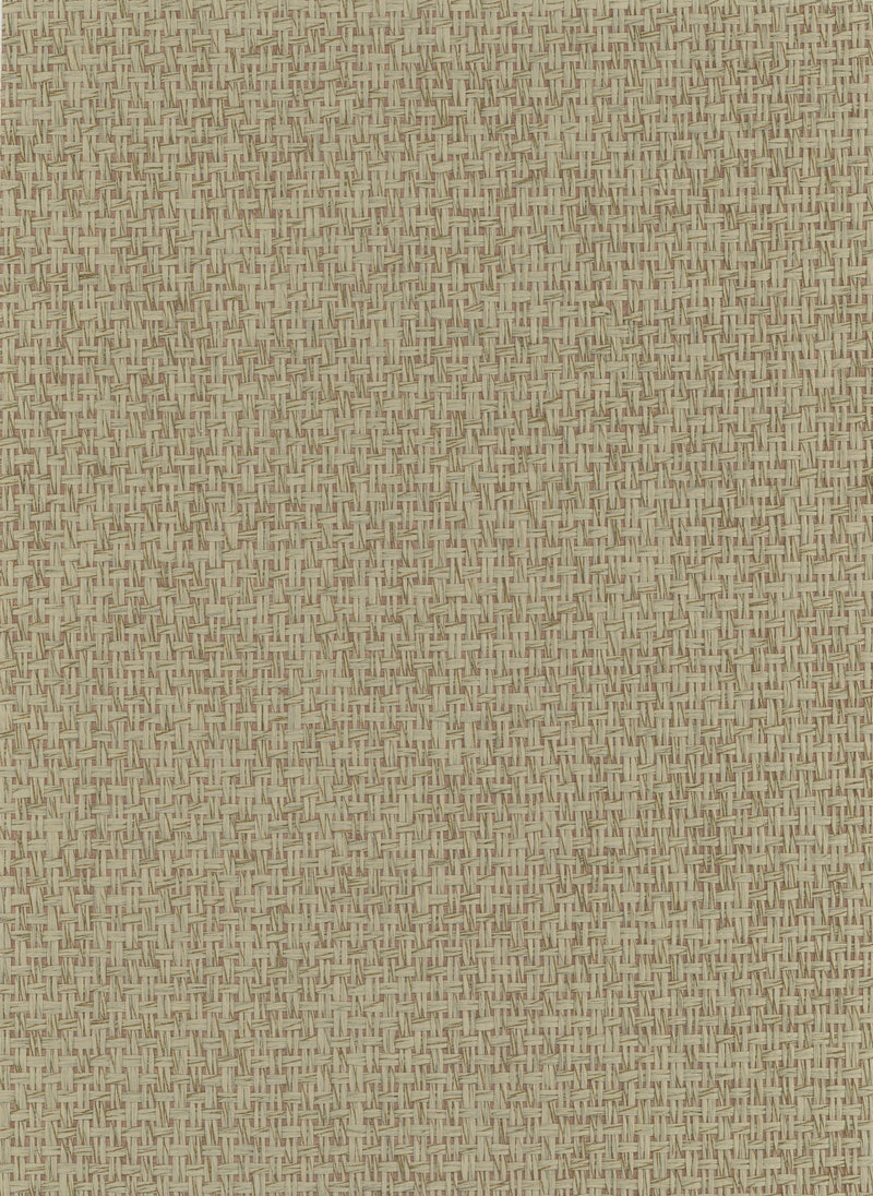 Paperweave 6716 Pale Khaki natural wallcovering swatch