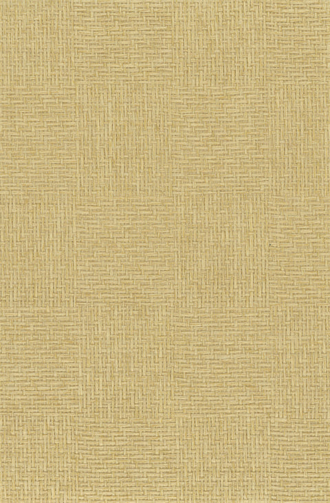 Paperweave 6787 Soybean