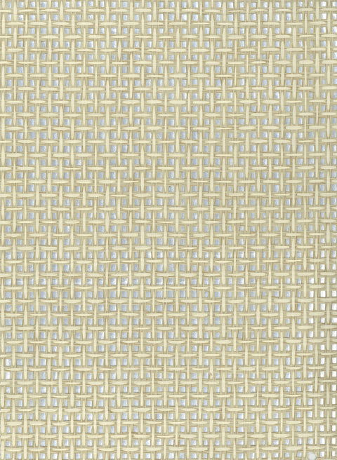Paperweave 6850 White Swan