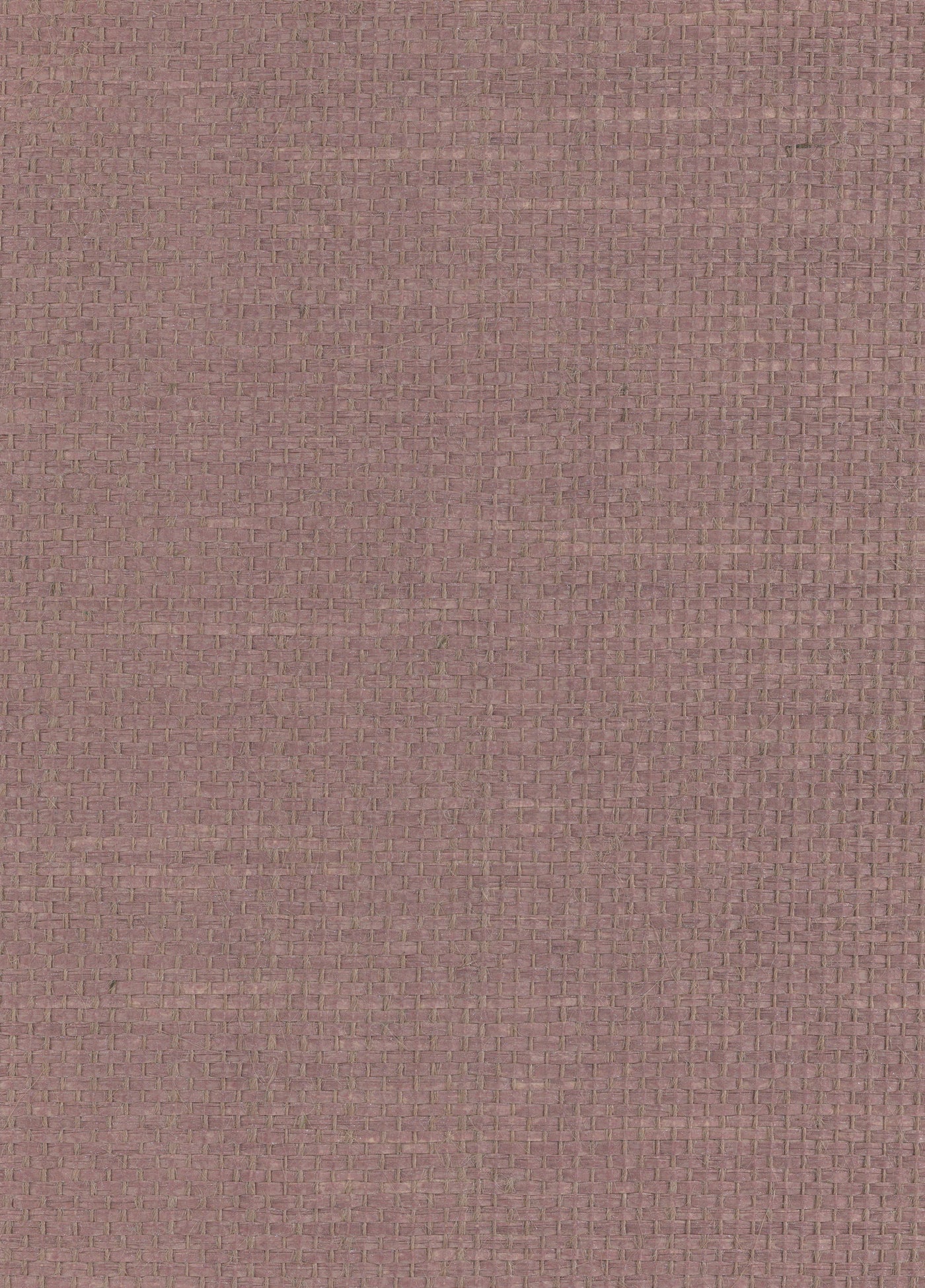 Paperweave 8013 natural wallcovering swatch
