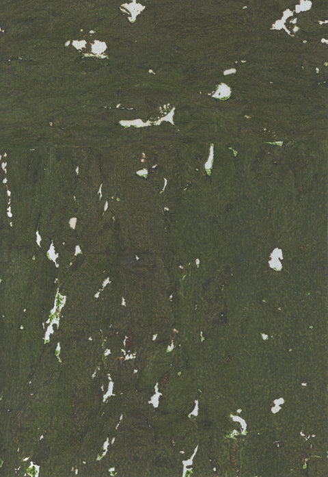 Cork Wallpaper 8313