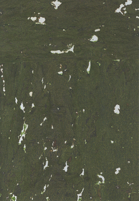 Cork Wallpaper 8313