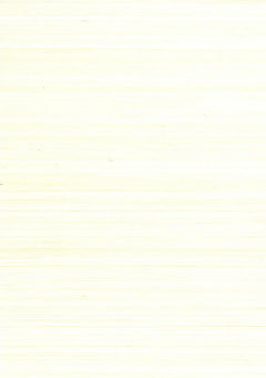 Sisal Grasscloth 1014 Bright White