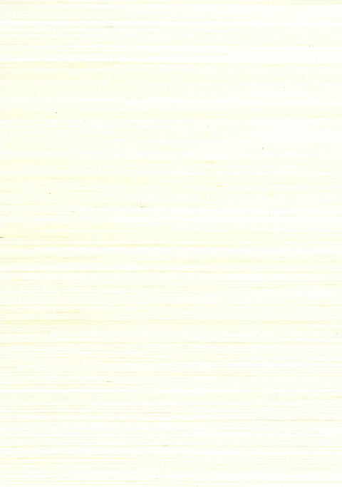 Sisal Grasscloth 1014 Bright White