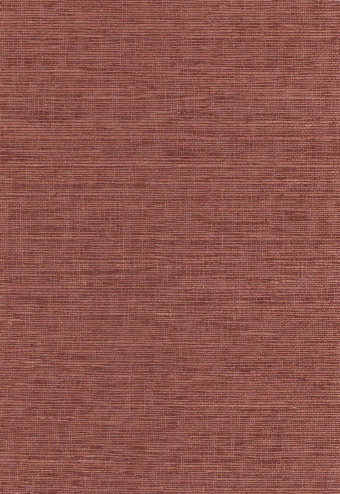 Sisal Grasscloth 1015 natural wallcovering swatch