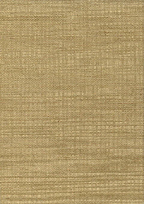 Sisal Grasscloth 1017 Prairie Sand