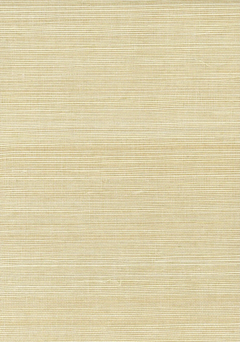 Sisal Grasscloth 1028 Creme