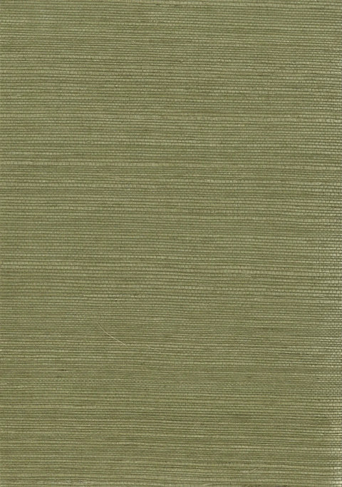 Sisal Grasscloth 1033 Mosstone