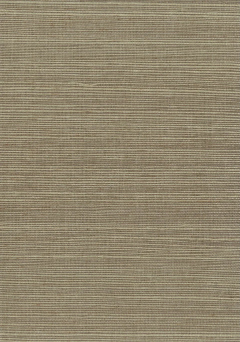 Sisal Grasscloth 1079 Fennel