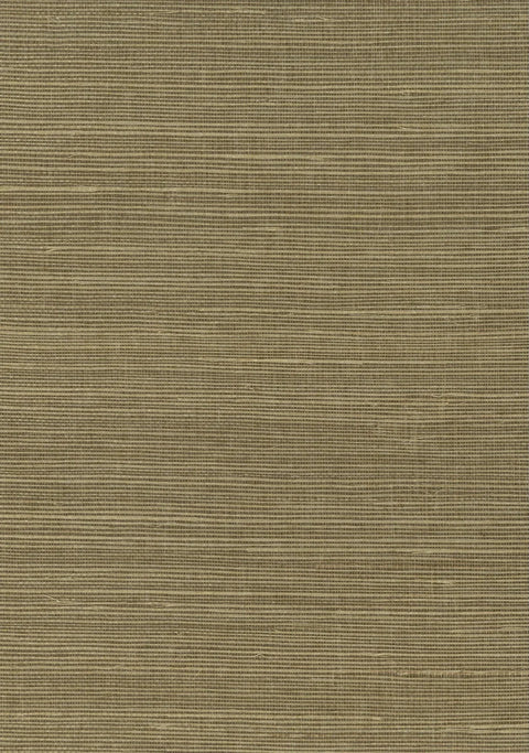 Sisal Grasscloth 1084 Ecru Olive