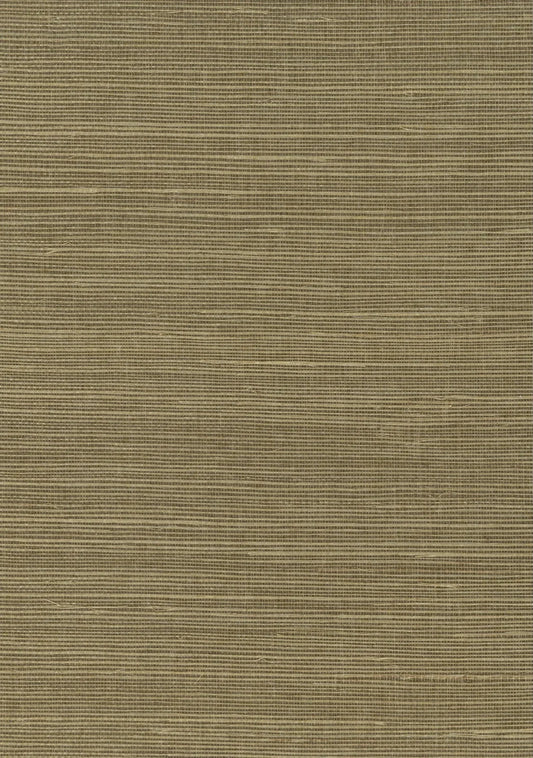 Sisal Grasscloth 1084 Ecru Olive - Nāturae - Australia's Finest Natural Wallcoverings
