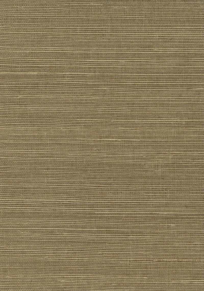 Sisal Grasscloth 1084 Ecru Olive - Nāturae - Australia's Finest Natural Wallcoverings