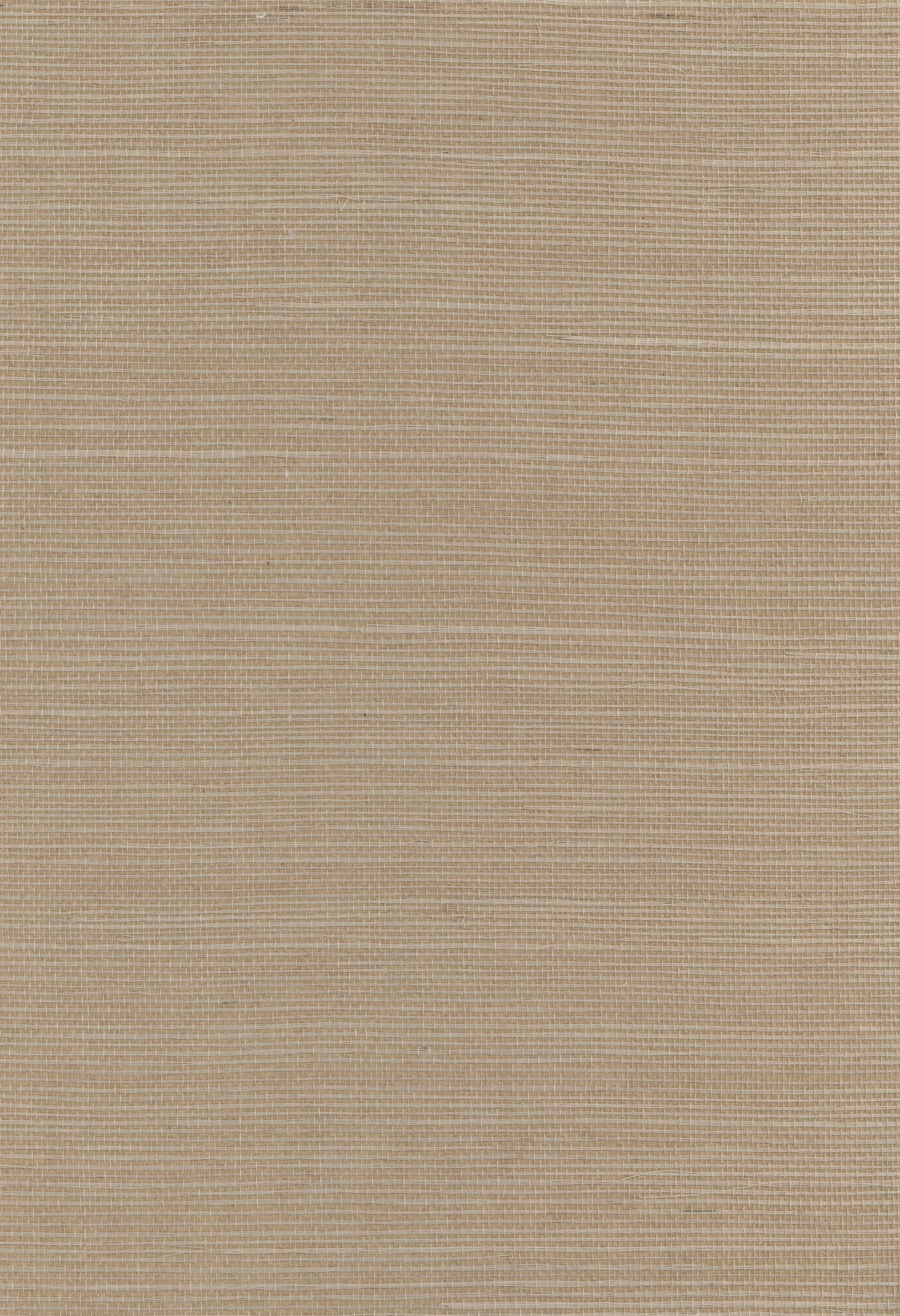 Sisal Grasscloth 1107 natural wallcovering swatch