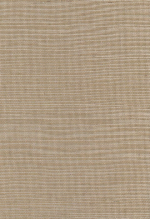 Sisal Grasscloth 1107
