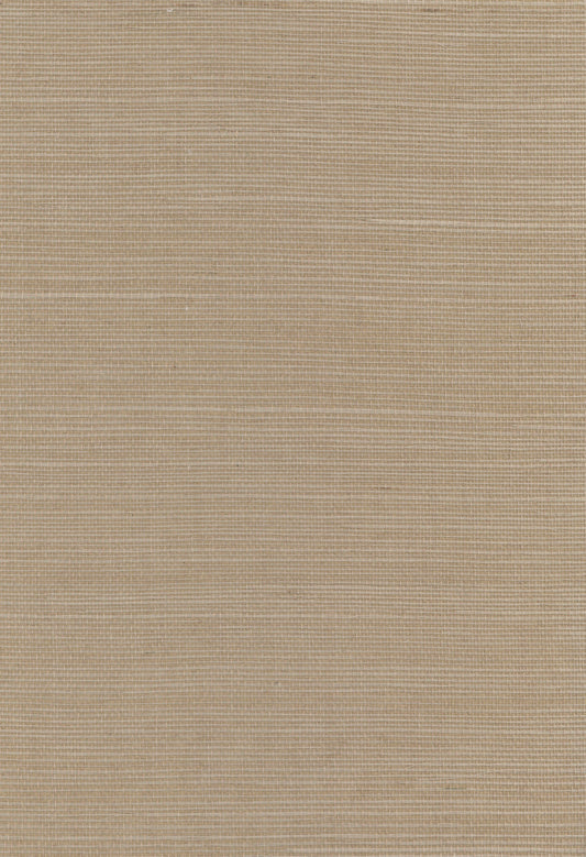 Sisal Grasscloth 1107 natural wallcovering swatch