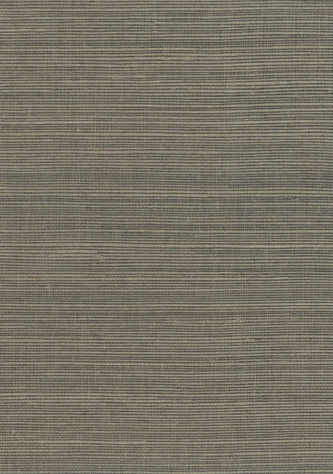 Sisal Grasscloth 1109 Companion
