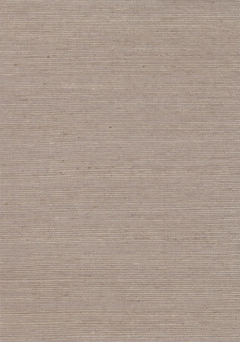 Sisal Grasscloth 1124 Raindrops