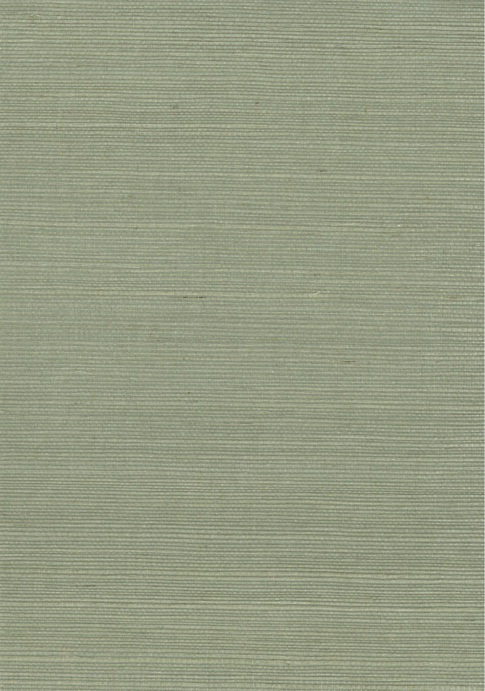 Sisal Grasscloth 1129 natural wallcovering swatch