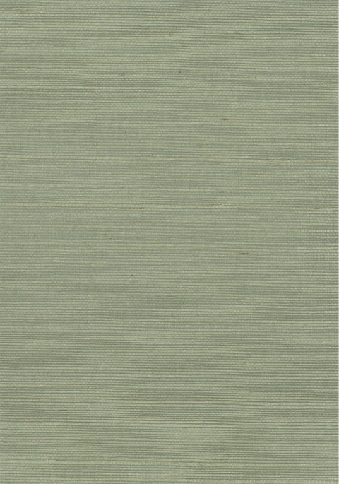 Sisal Grasscloth 1129