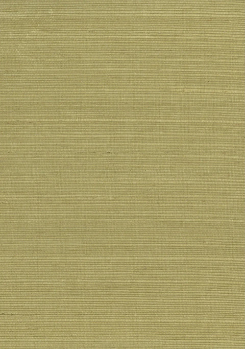 Sisal Grasscloth 1130 Weeping Willow