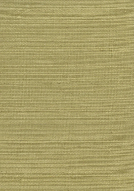 Sisal Grasscloth 1130 Weeping Willow - Nāturae - Australia's Finest Natural Wallcoverings