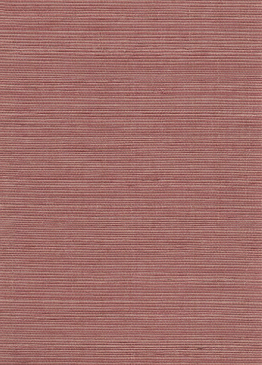 Sisal Grasscloth 1134 natural wallcovering swatch