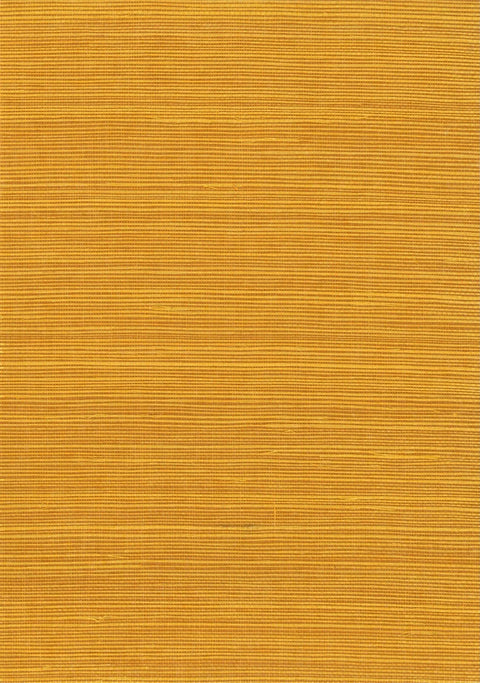 Sisal Grasscloth 1135 Apricot