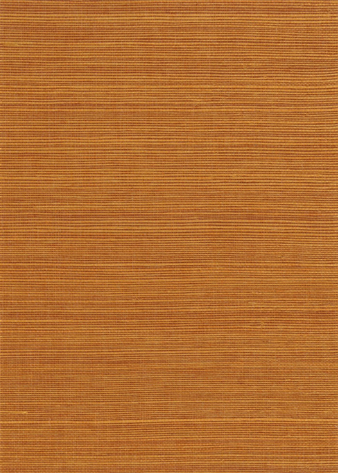 Sisal Grasscloth 1138F natural wallcovering swatch