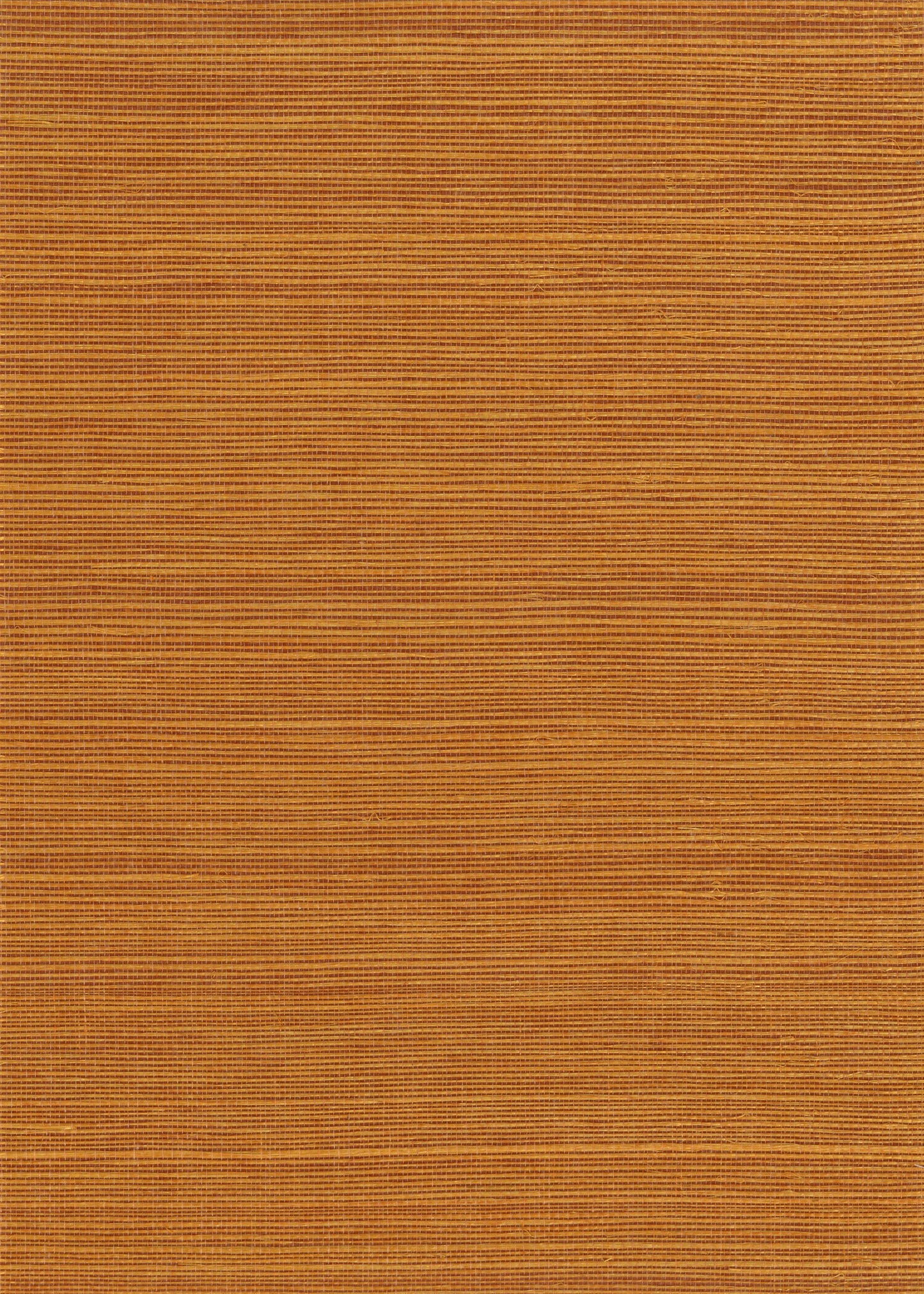 Sisal Grasscloth 1138F natural wallcovering swatch