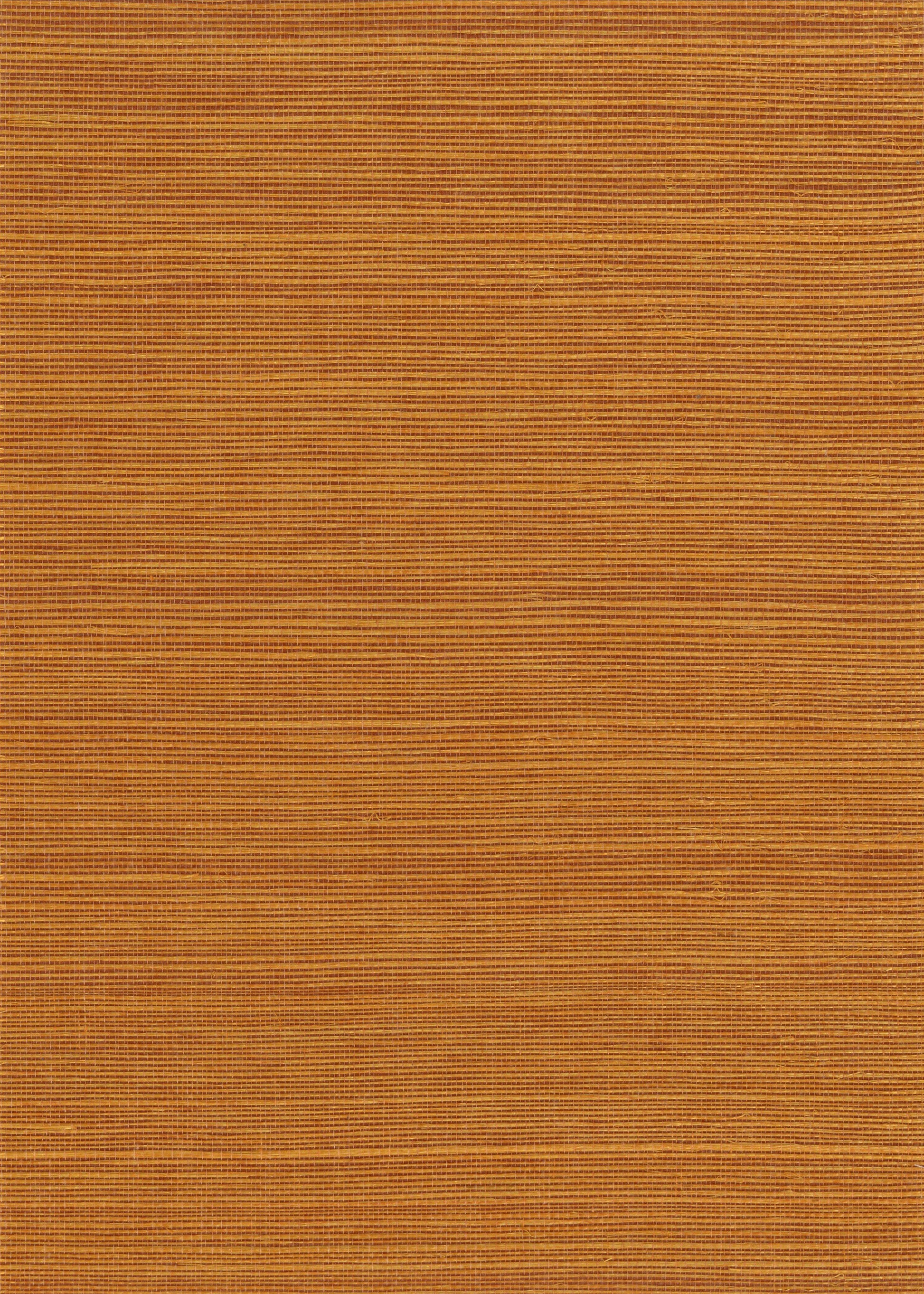 Sisal Grasscloth 1138F natural wallcovering swatch