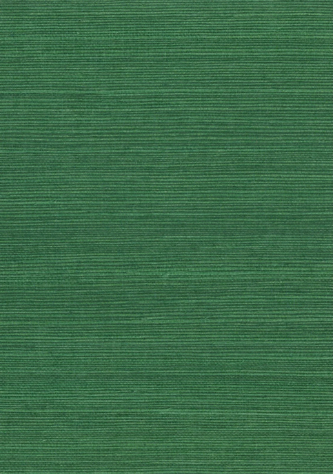 Sisal Grasscloth 1141 Jolly Green - Nāturae - Australia's Finest Natural Wallcoverings