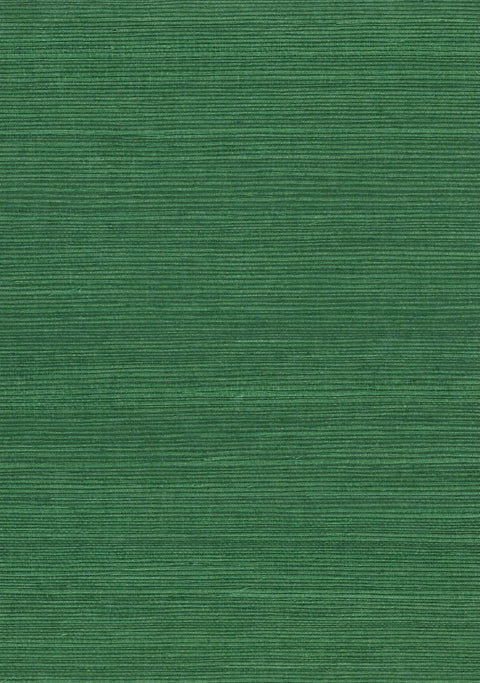 Sisal Grasscloth 1141 Jolly Green