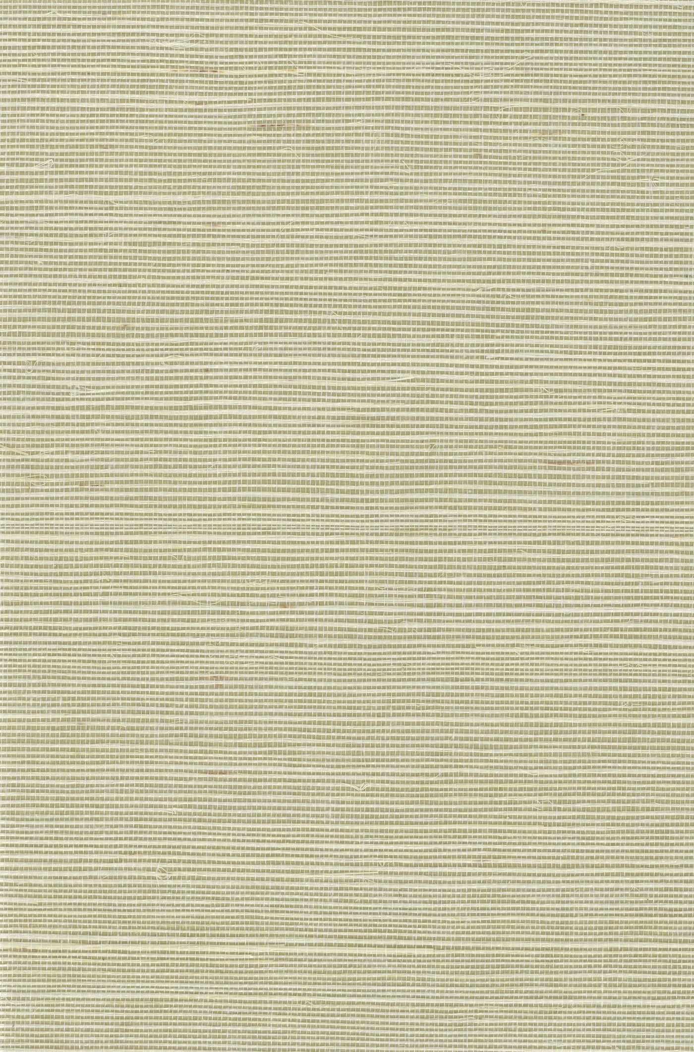 Sisal Grasscloth 1150 natural wallcovering swatch