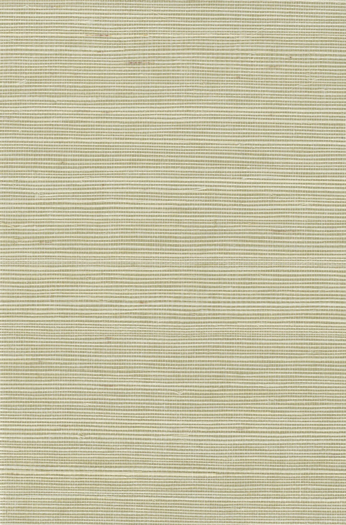 Sisal Grasscloth 1150 natural wallcovering swatch