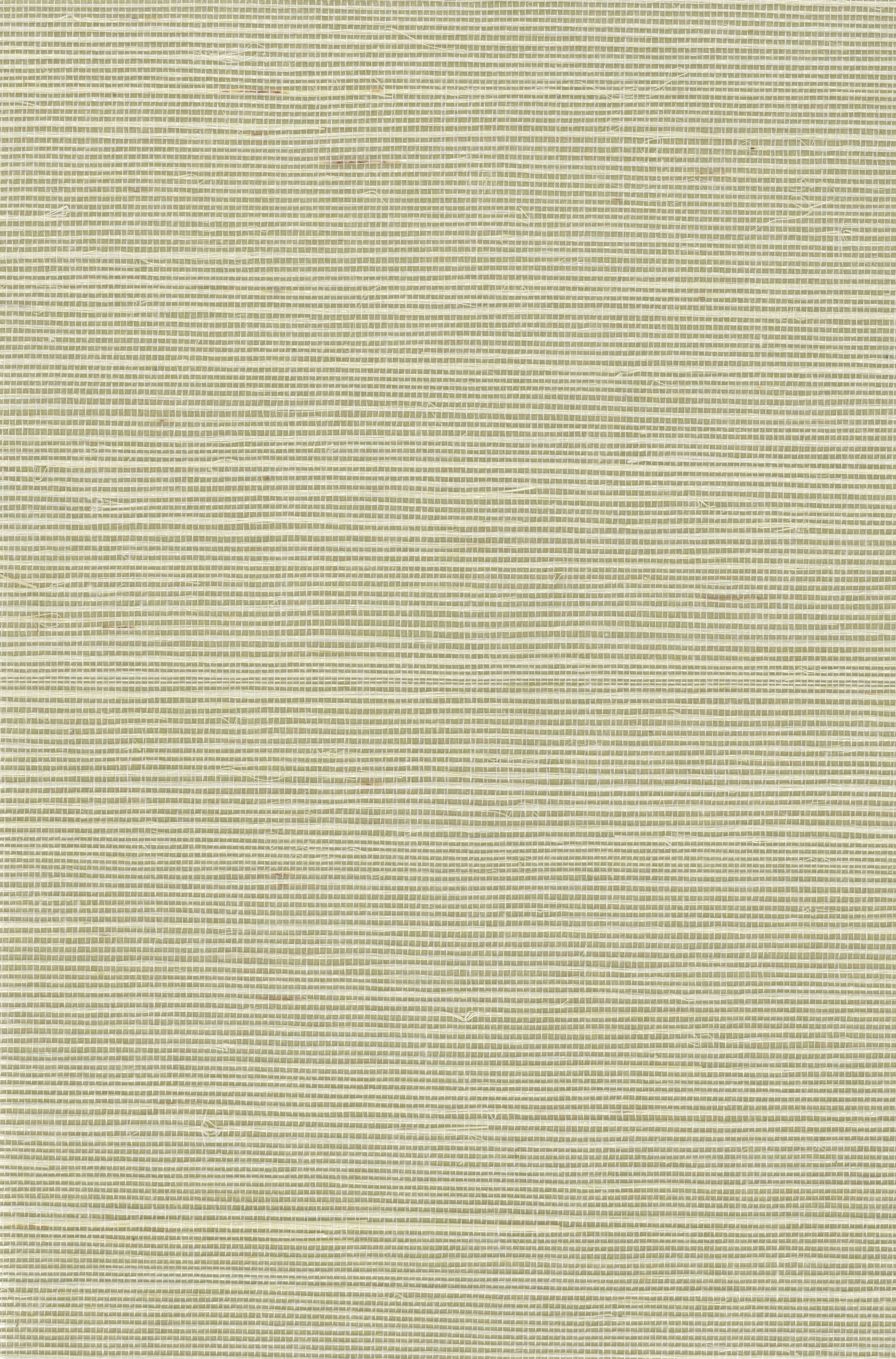 Sisal Grasscloth 1150 natural wallcovering swatch