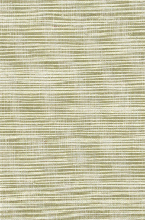Sisal Grasscloth 1150