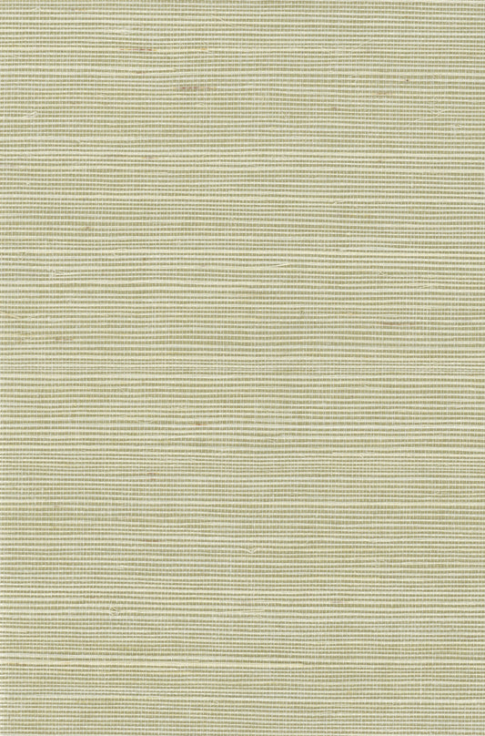 Sisal Grasscloth 1150 natural wallcovering swatch