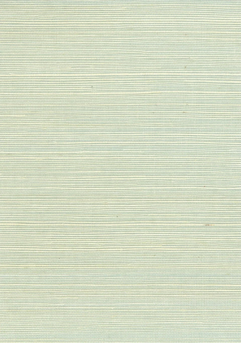 Sisal Grasscloth 1152 Misty Blue