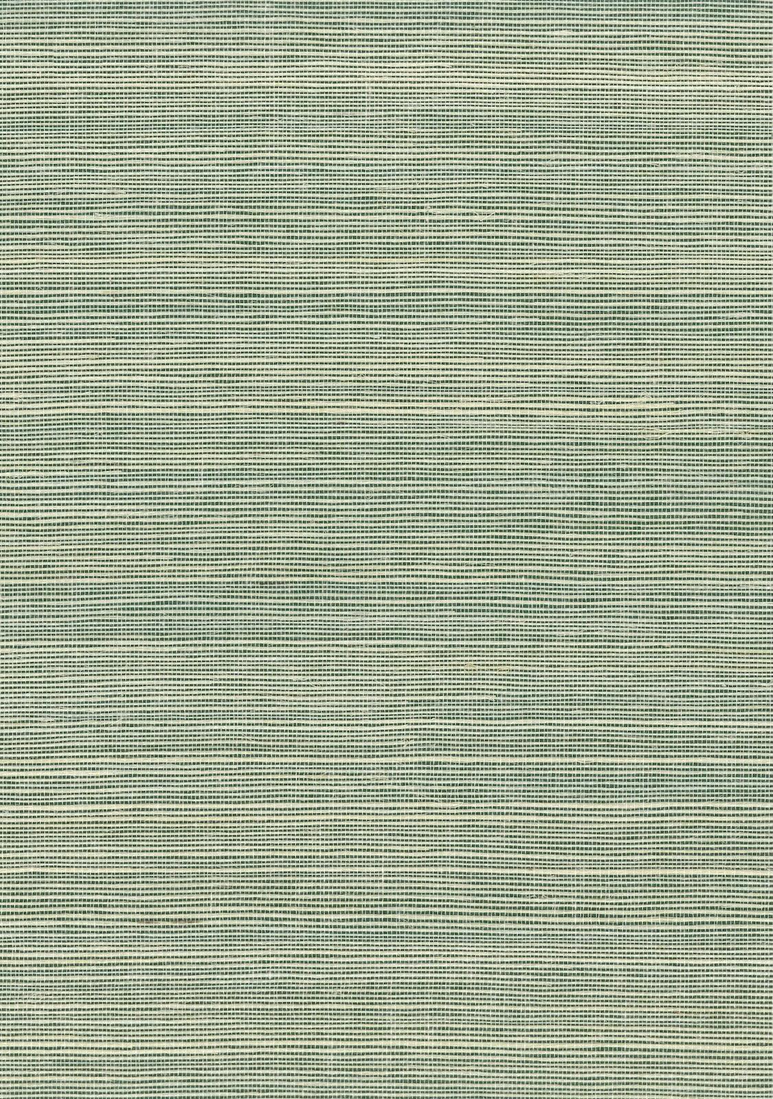 Sisal Grasscloth 1156 Amazon - Nāturae - Australia's Finest Natural Wallcoverings