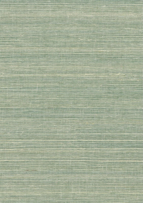 Sisal Grasscloth 1156 Amazon
