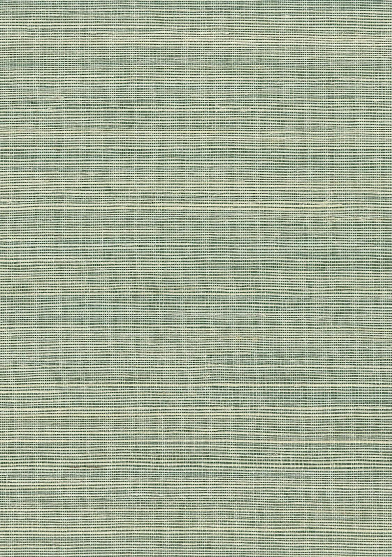 Sisal Grasscloth 1156 Amazon - Nāturae - Australia's Finest Natural Wallcoverings