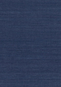 Sisal Grasscloth 1168 Legion Blue