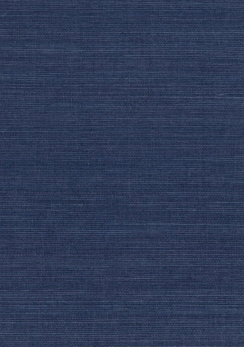 Sisal Grasscloth 1168 Legion Blue